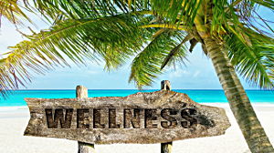 Wellness Anbieter